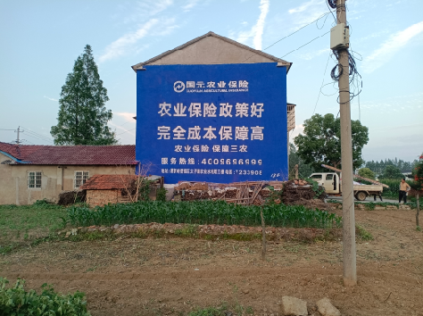 习水墙体广告为何受追捧?